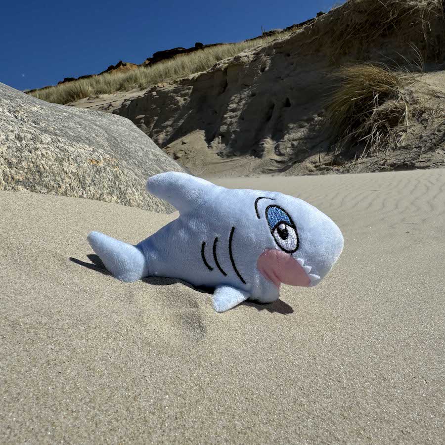 Haini auf Sylt Norden Deutschland Insel Urlaub Haini reist durch die Welt